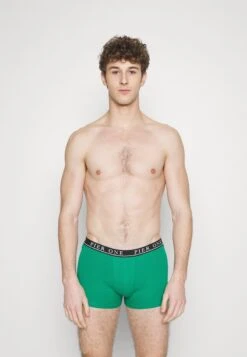 Pier One 5 PACK - Panties - Light Grey/black/green -ModePier 848816986ca24fbcb5e57aec8f8eb96c