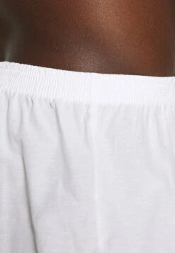 Pier One 5 PACK - Boxershorts - Light Blue/white 11 Pier One 5 PACK - Boxershorts - Light Blue/white -ModePier 8e2664e226c041628a342c1ad591e54d