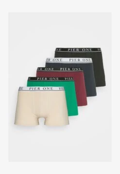 Pier One 5 PACK - Panties - Beige/green/bordeaux 10 Pier One 5 PACK - Panties - Beige/green/bordeaux -ModePier bc7bad60932445cabd41ffd20695bb0b