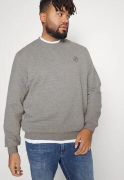 Pier One Sweatshirt - Grey -ModePier cf49486252674b43a74ae61d47433558