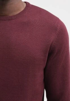 Pier One BASIC CREWNECK - Strickpullover - Bordeaux 9 Pier One BASIC CREWNECK - Strickpullover - Bordeaux -ModePier d715837f4bae40fc8cff240ff173ecfa
